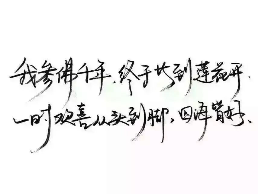 快乐的浪漫不会 比痛苦的浪漫重要