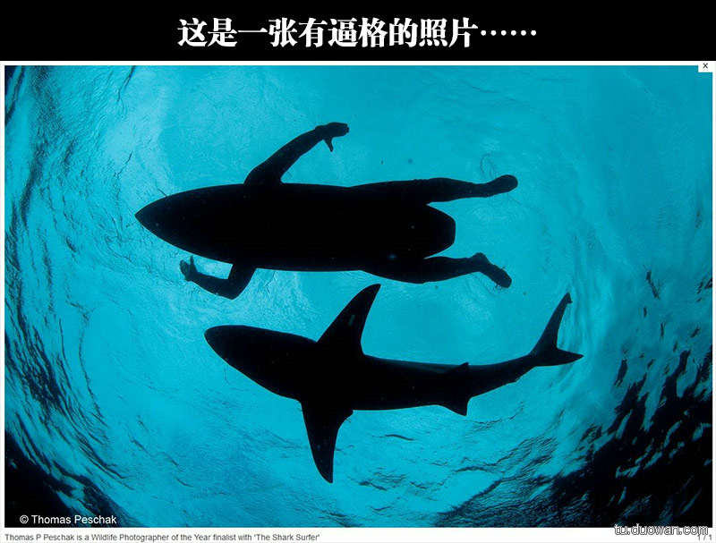 囧图第788发：欲练成绅士B格，还请看此书！
