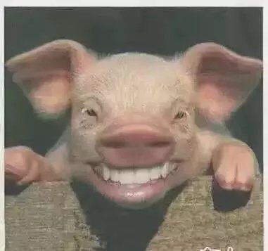 阿好：- 愿你们能活的像个神经病一样每天开开心心！