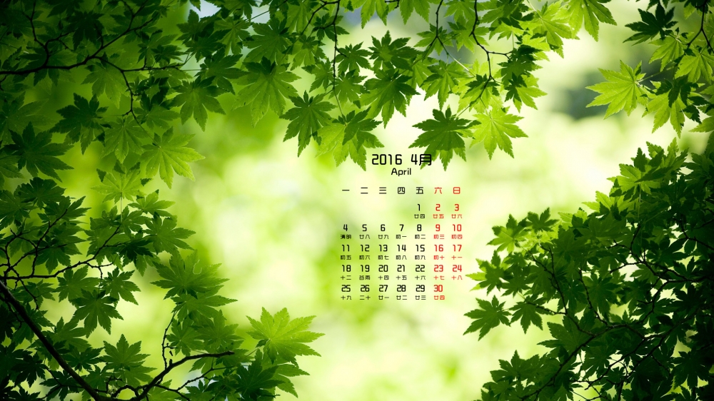 2016年4月日历超级清新好看的绿叶高清壁纸