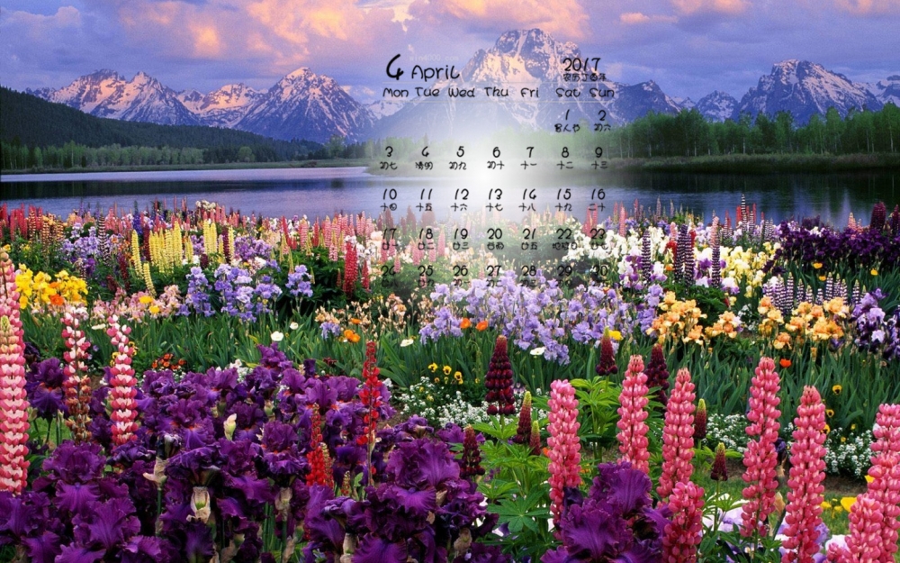 2017年4月唯美花海桌面日历壁纸