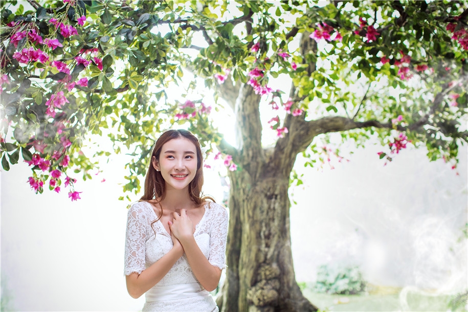 爱情树下 婚纱照