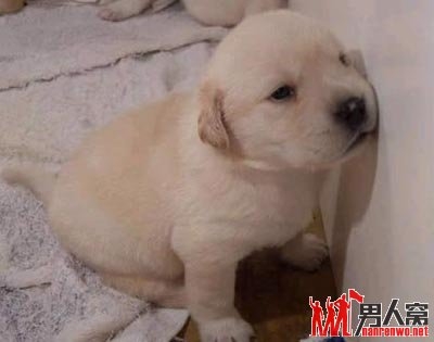 雷人的搞笑图片集