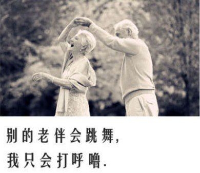愿得一人心白首不分离。