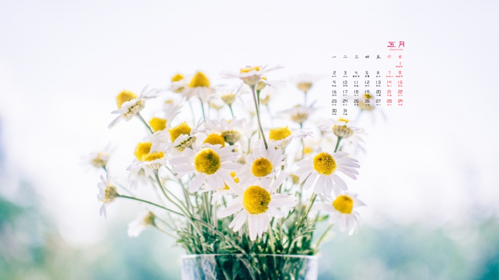 2016年5月日历好看的花卉待机壁纸