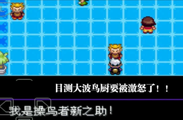 口袋妖怪草鸟者