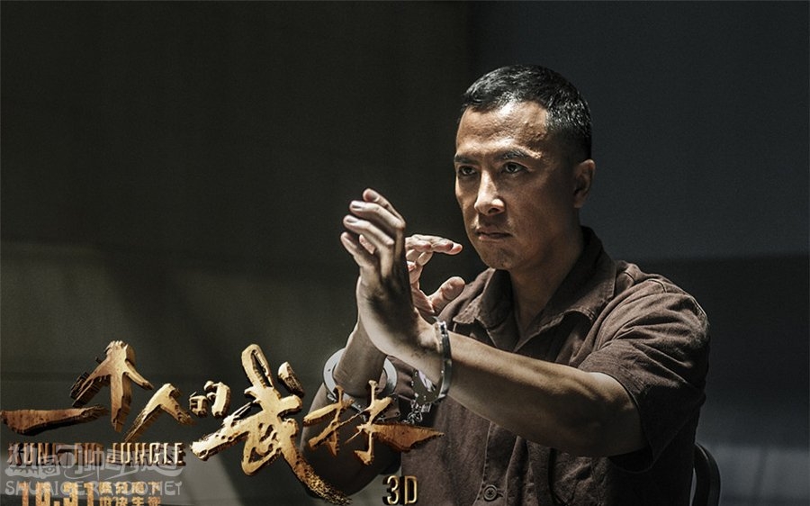 《一个人的武林》王宝强饰演封于修剧照，甄子丹饰演夏侯武剧照