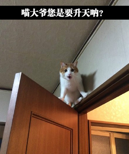 此刻心情是复杂的，好想一脚把门踹开哇
