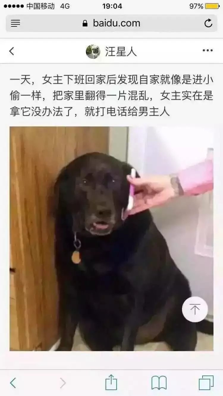 紫霞：哈哈哈哈哈