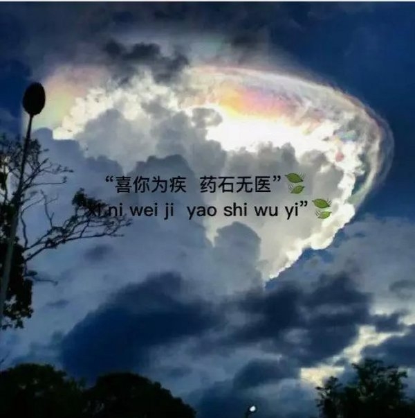 我又绿箭，跟我走不走