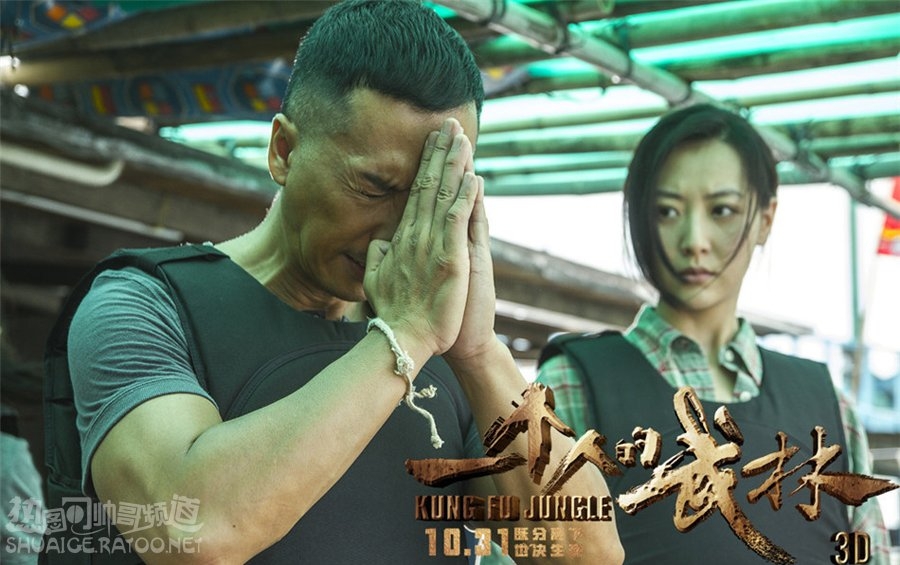 《一个人的武林》王宝强饰演封于修剧照，甄子丹饰演夏侯武剧照