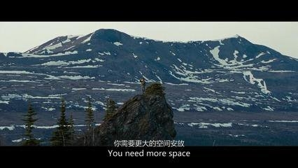 已经失去的东西，在缅怀也没用了