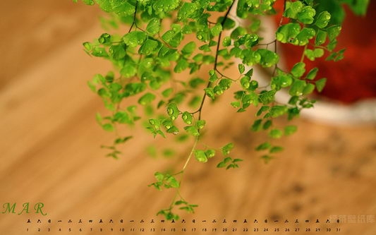 2013年3月日历绿色护眼桌面壁纸 1440x900【09】
