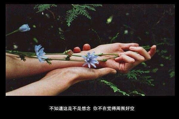 我怕爱会荒芜，却只能浇灌孤独