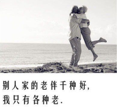 愿得一人心白首不分离。