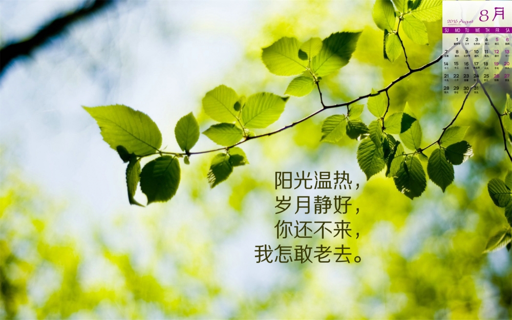 2016年8月日历唯美爱情箴言高清桌面壁纸图片