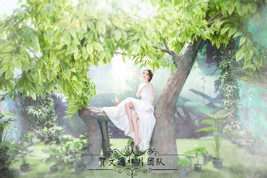 丛林物语 婚纱照