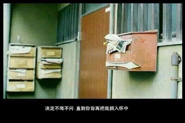 我怕爱会荒芜，却只能浇灌孤独