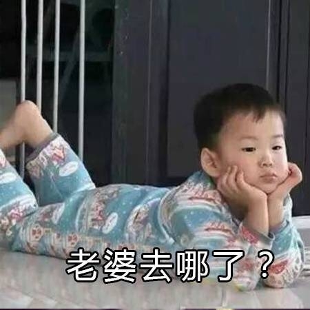 老婆表情包