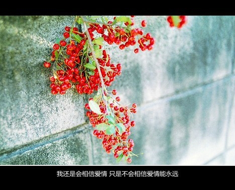 唯美小清新带字图片 唯美小清新风格带字图片