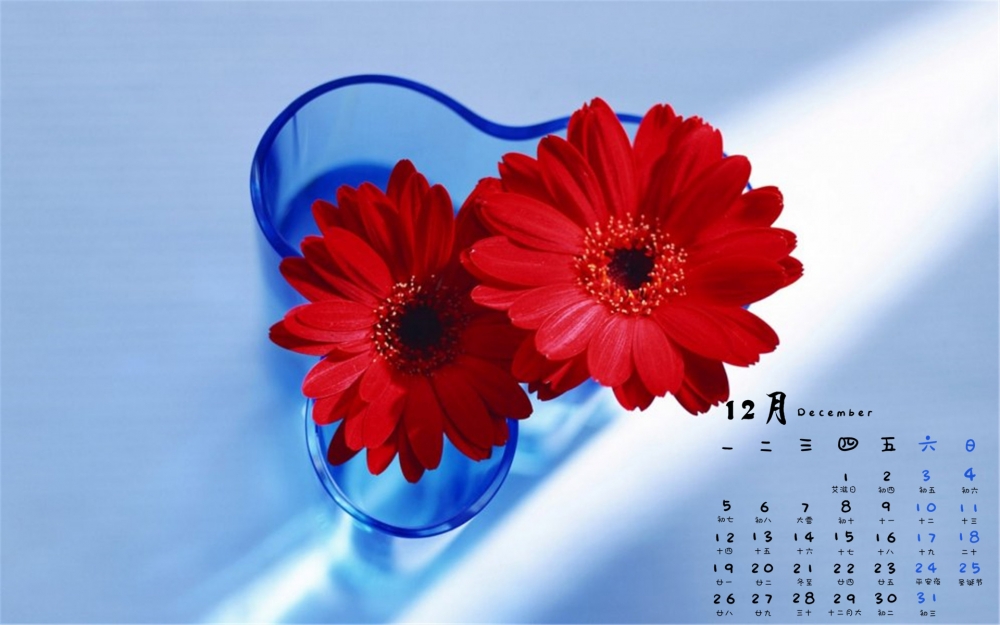 2016年12月日历清新花朵植物高清电脑壁纸下载