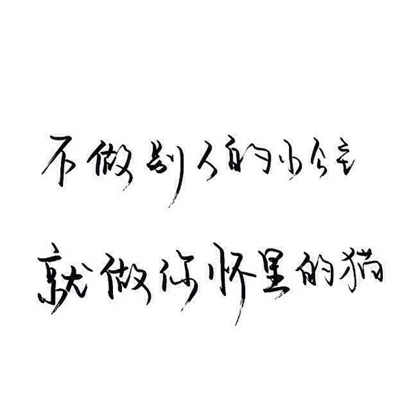 感情这东西，说不清，道不明