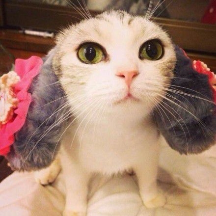 萌倒ゅ≈