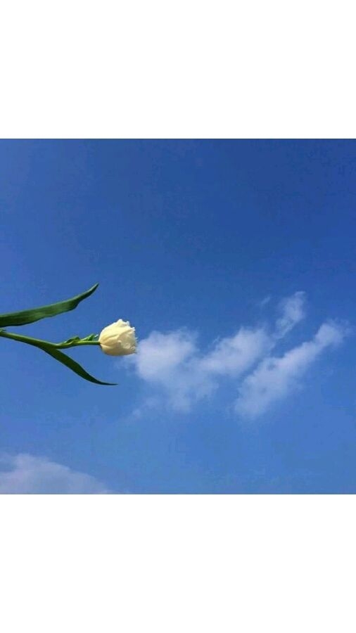 为你四面楚歌，为你潇洒取舍。