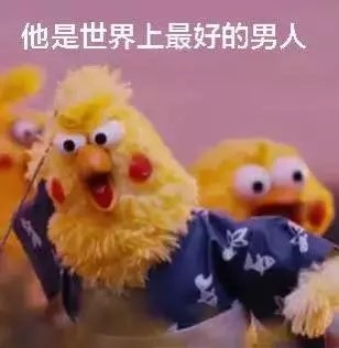 当别人说你爱豆的时候.. 哈哈哈