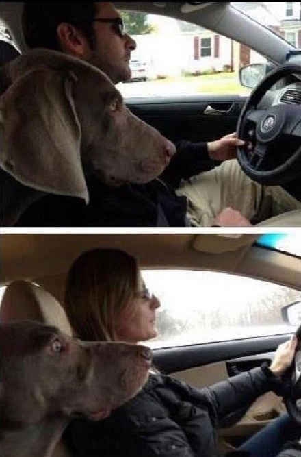 女人开车时vs男人开车时