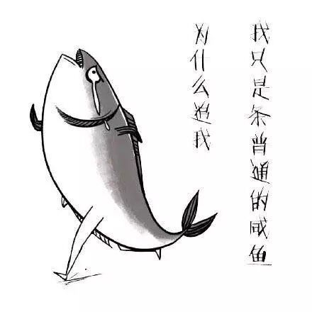 苏歌：我是一条帅气的咸鱼
