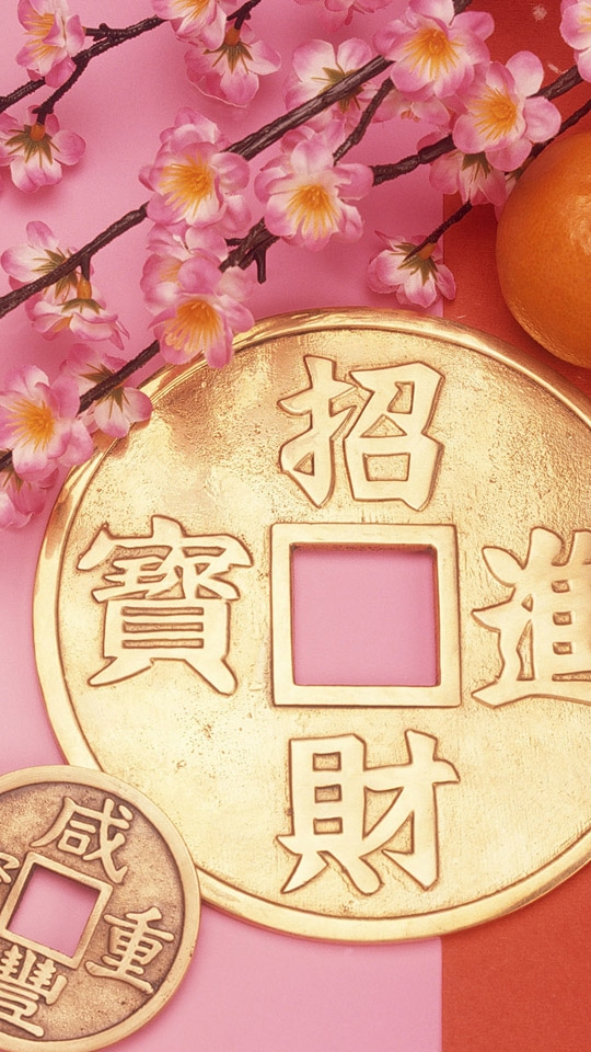 红红火火春节540X960手机壁纸
