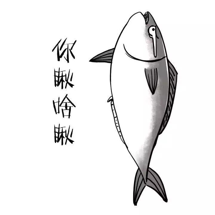 苏歌：我是一条帅气的咸鱼