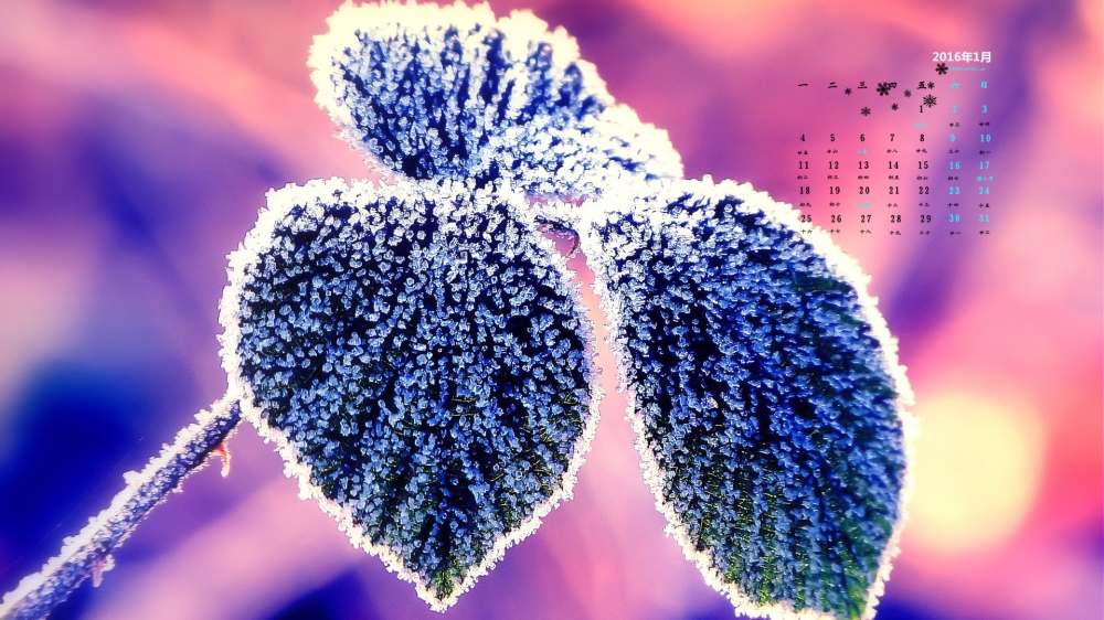 2016年1月日历冰天雪地唯美雪景图片壁纸1