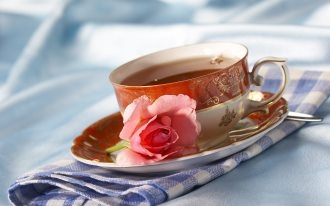 安溪铁观音绿茶