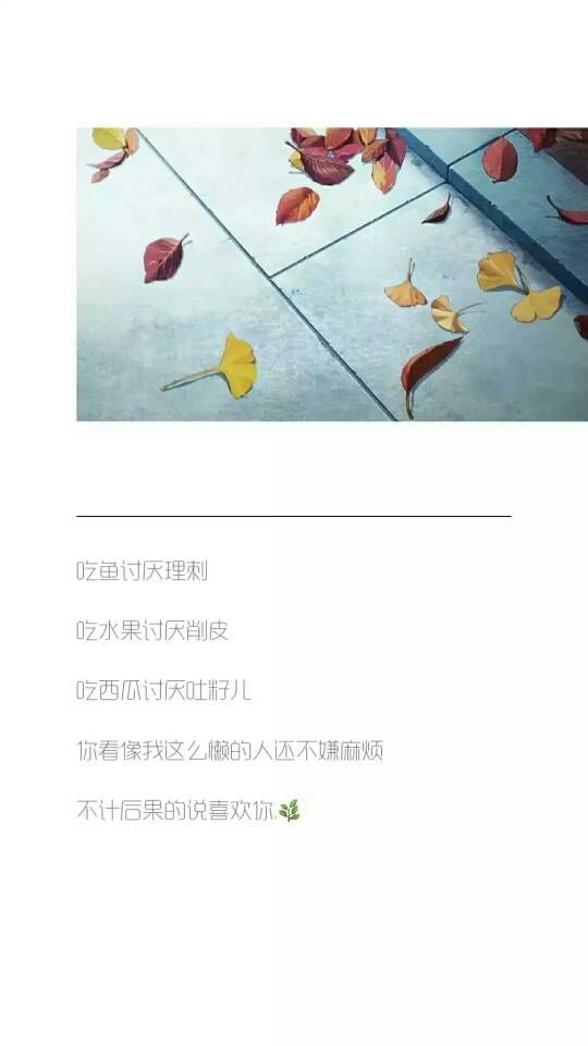 我不怨你，你只是不爱我而已