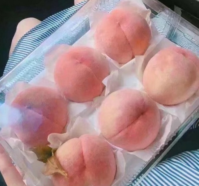 夏天来了 快艾特你的巨轮给你买桃吃