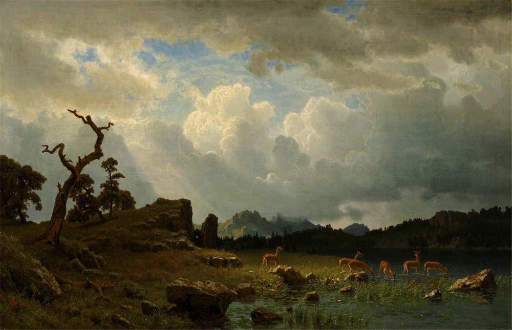 Albert Bierstadt油画风景电脑壁纸