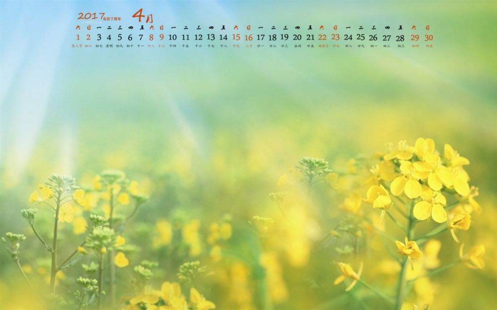 2017年4月植物小清新唯美意境高清日历壁纸