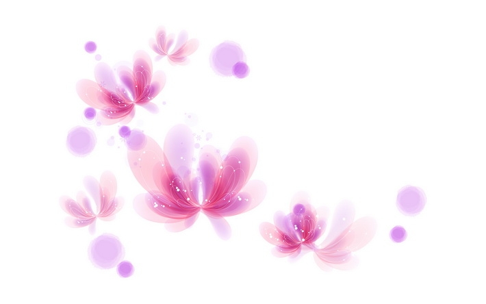 色彩花朵桌面壁纸 1920X1200【21P】
