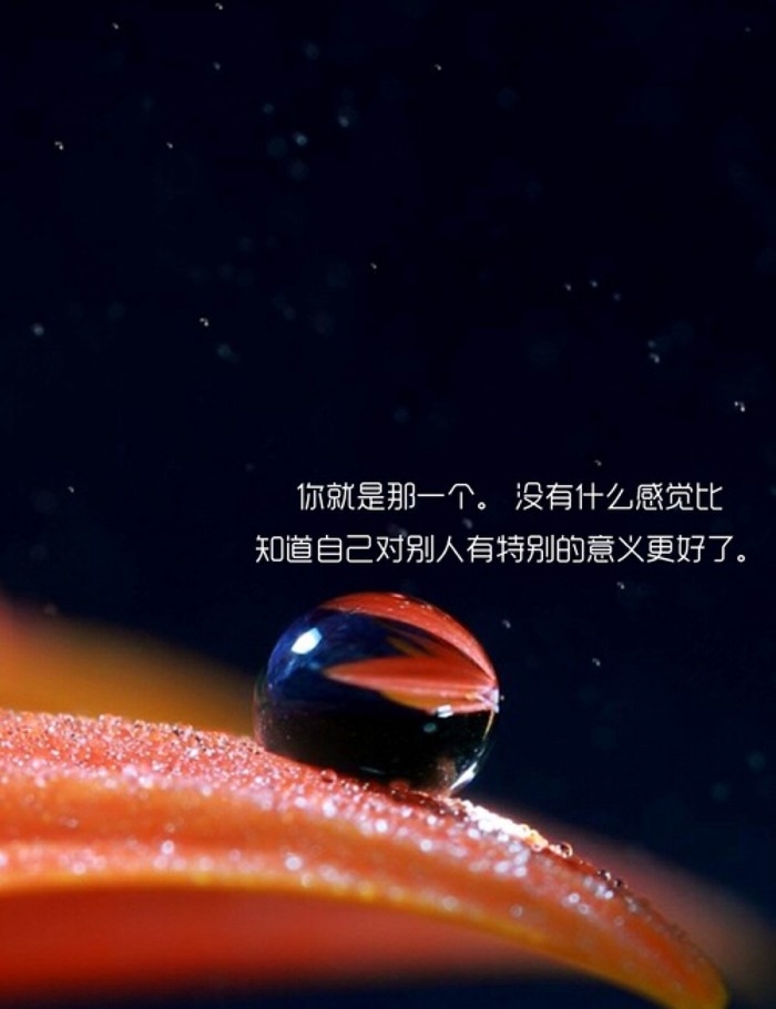 唯美小清新带字图片 唯美小清新风格带字图片