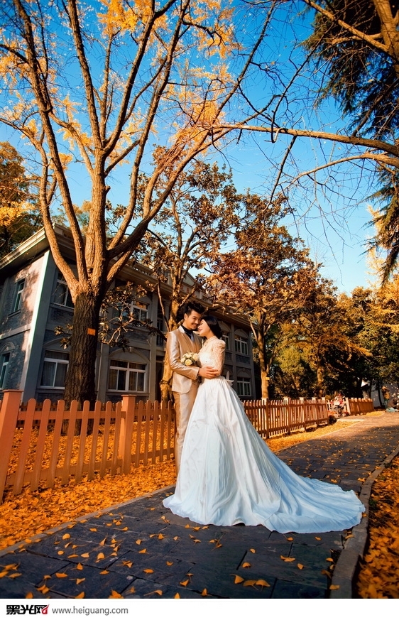 秋的记忆 婚纱照