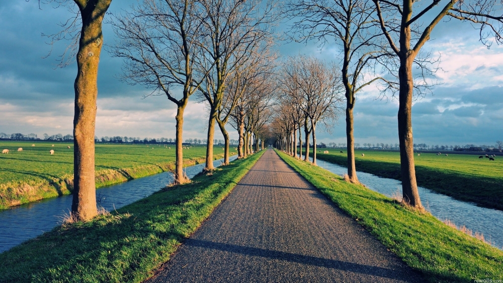 乡村美丽的道路风景桌面壁纸