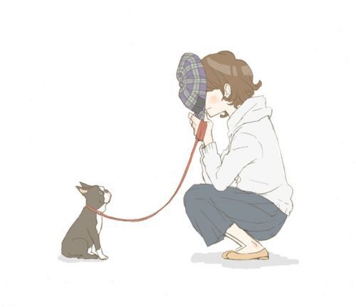 送给那个爱插画的粉