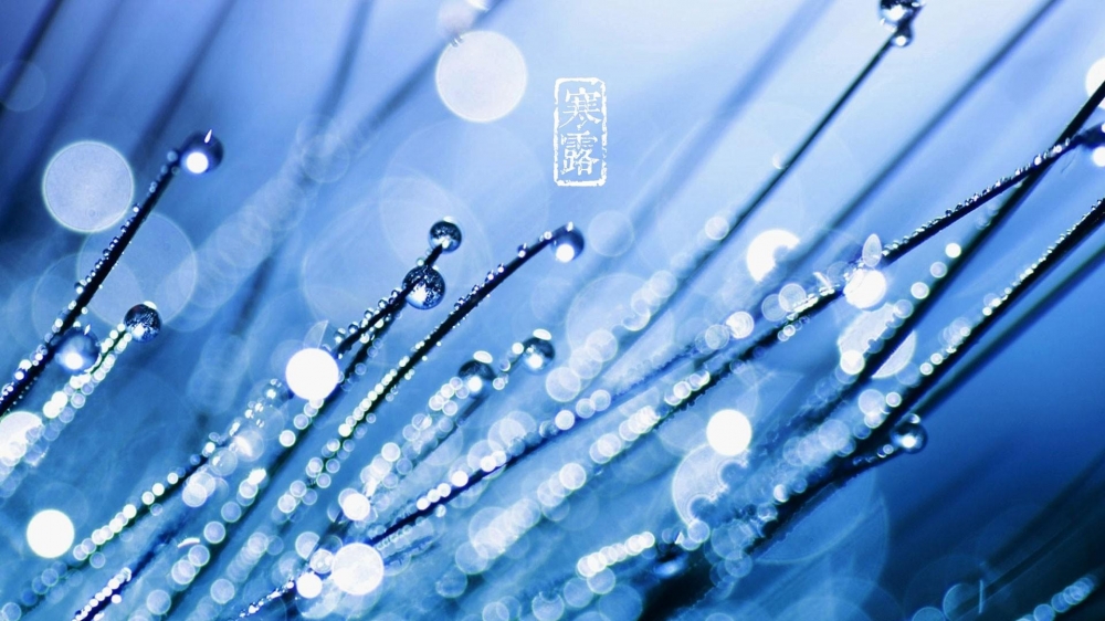 二十四节气：寒露唯美意境桌面壁纸