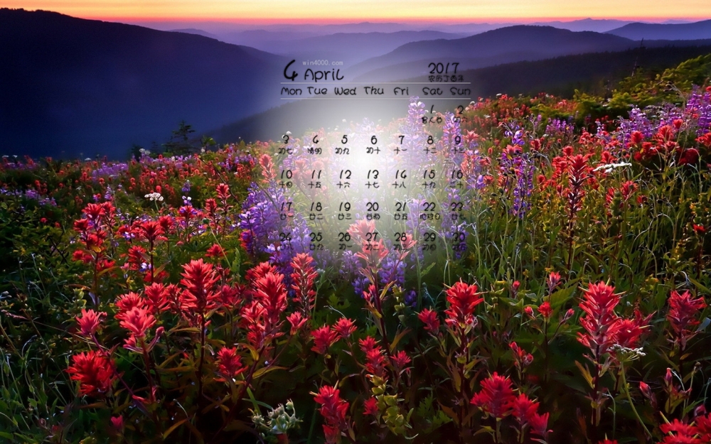 2017年4月唯美花海桌面日历壁纸