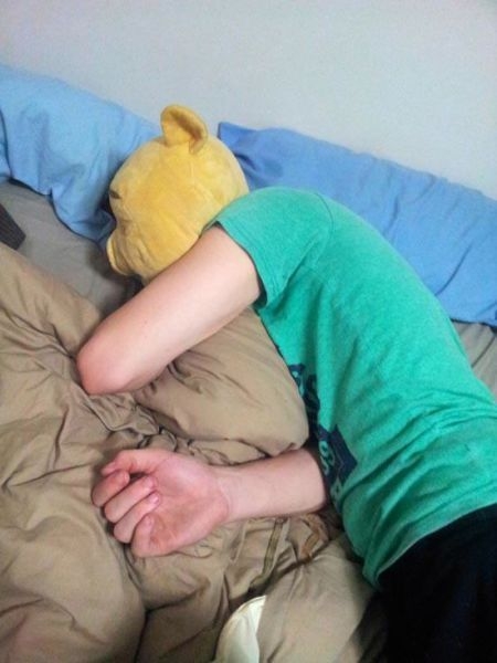 爆笑！动物也喜欢玩借位摄影