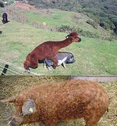 不解释 看图就懂