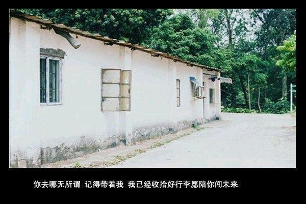 我怕爱会荒芜，却只能浇灌孤独