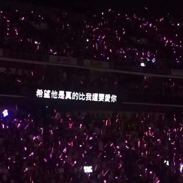 阿苒：如果是去见你我会用爬的.